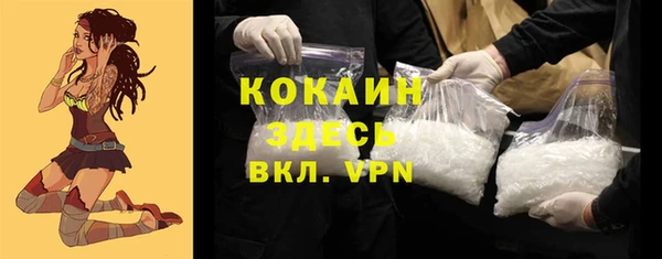 стафф Алексин