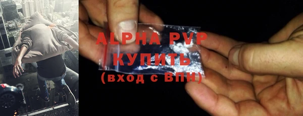 стафф Алексин