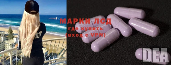 стафф Алексин
