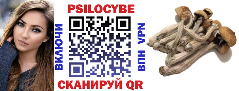 Галлюциногенные грибы прущие грибы  закладка  Кола 